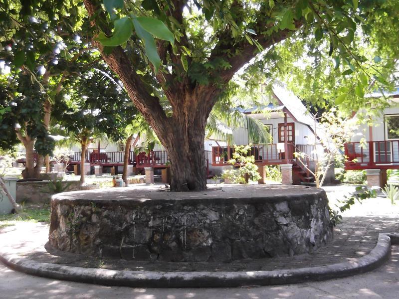 Koh Tao Garden Resort Eksteriør bilde