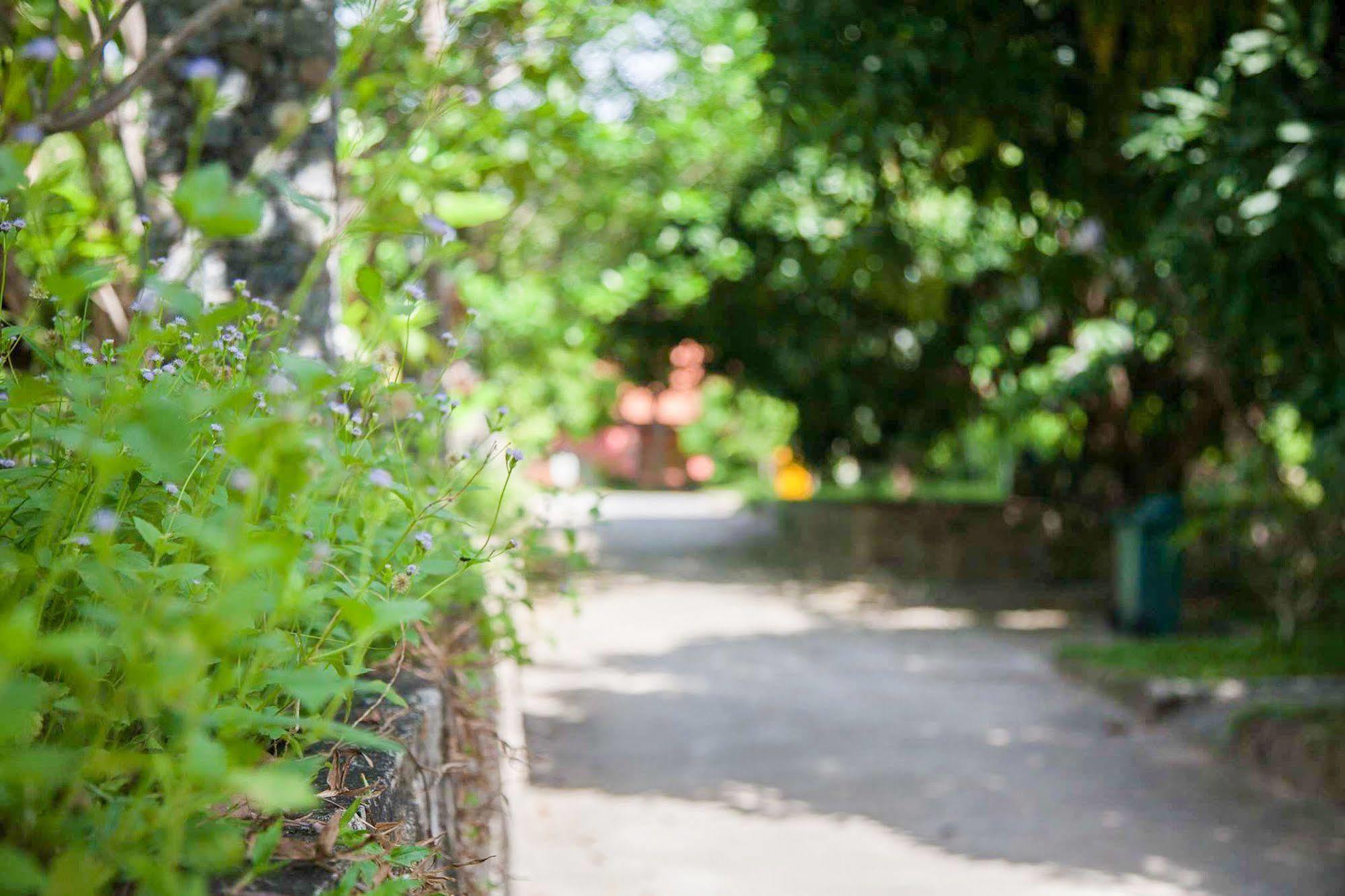 Koh Tao Garden Resort Eksteriør bilde
